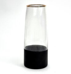 Стеклянная ваза, 25 x 10 см цена и информация | Вазы | kaup24.ee