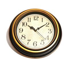 Настенные часы, 30 см цена и информация | Часы | kaup24.ee