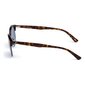 Unisex Päikeseprillid Web Eyewear WE0235-91V Sinine Havana (ø 49 mm) цена и информация | Naiste päikeseprillid | kaup24.ee