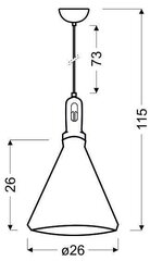 Candellux подвесной светильник Robinson цена и информация | Потолочный светильник, 38 x 38 x 24 см | kaup24.ee