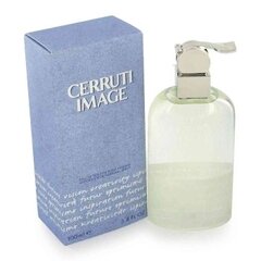 Tualettvesi Cerruti Image EDT meestele 100 ml Dublikatas [49010] hind ja info | Cerruti Kosmeetika, parfüümid | kaup24.ee