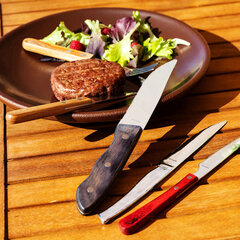 Нож для отбивных Amefa Hercule (25 cm) цена и информация | Подставка для ножей Tescoma Woody, 21 см | kaup24.ee