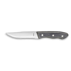 Нож для отбивных Amefa Hercule (25 cm) цена и информация | Подставка для ножей Tescoma Woody, 21 см | kaup24.ee