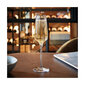 Šampanja klaas Chef & Sommelier hind ja info | Klaasid, tassid ja kannud | kaup24.ee