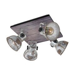 Потолочный светильник Eglo Barnstaple цена и информация | Потолочные светильники | kaup24.ee