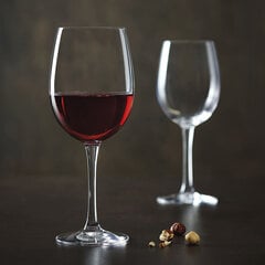 Veiniklaas Tulip Cabernet hind ja info | Klaasid, tassid ja kannud | kaup24.ee