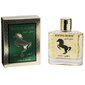 Tualettvesi Real Time Racing Horse Gold EDT meestele, 100 ml hind ja info | Meeste parfüümid | kaup24.ee