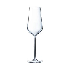 Šampanja ja vahuveini klaas Chef & Sommelier Distinction hind ja info | Klaasid, tassid ja kannud | kaup24.ee