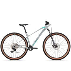 Горный велосипед Rock Machine 29 Catherine 60-29 серый (L) цена и информация | Велосипеды | kaup24.ee