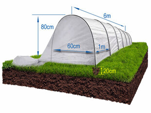 Taimelava 'Standard' 6 m цена и информация | Теплицы | kaup24.ee