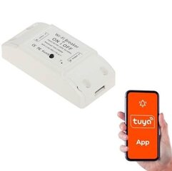 Умный тумблер ATLO-B1-TUYA Wi-Fi, Tuya Smart цена и информация | Выключатели, розетки | kaup24.ee