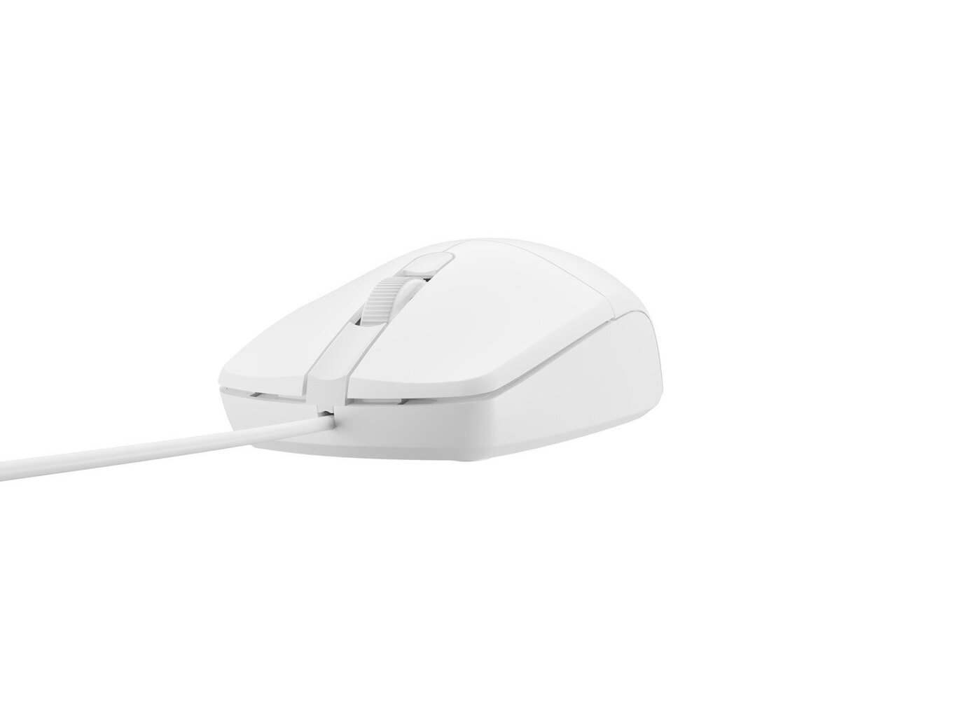 Natec Mouse Natec RUFF 2 White hind ja info | Hiired | kaup24.ee