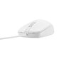 Natec Mouse Natec RUFF 2 White hind ja info | Hiired | kaup24.ee