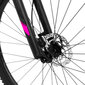 Maastikuratas Rock Machine 29 Catherine 10-29 helesinine/roosa (M) hind ja info | Jalgrattad | kaup24.ee