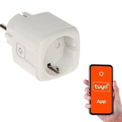 GENWAY УМНЫЙ ДОМ WIFI УМНАЯ РОЗЕТКА/ATLO-P1-TUYA GENWAY цена и информация | Выключатели, розетки | kaup24.ee