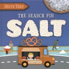 Search for Salt hind ja info | Noortekirjandus | kaup24.ee