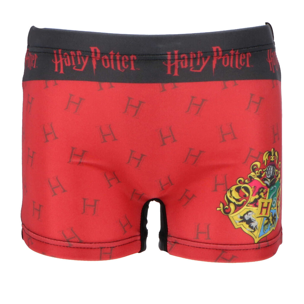 Laste ujumispüksid Harry Potter hind ja info | Poiste ujumispüksid | kaup24.ee