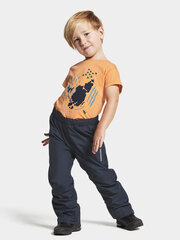 Детские весенне-осенние брюки Didriksons IDUR, темно-синий цвет цена и информация | Шорты для мальчиков | kaup24.ee