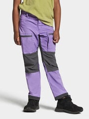 Детские штаны Didriksons весна-осень KOTTEN, фиолетовые цена и информация | Шорты для мальчиков | kaup24.ee