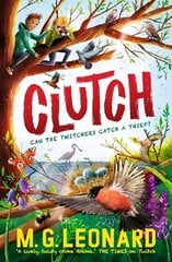 Clutch цена и информация | Книги для подростков и молодежи | kaup24.ee
