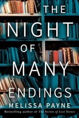 Night of Many Endings: A Novel цена и информация | Фантастика, фэнтези | kaup24.ee