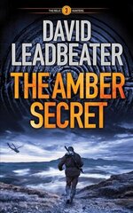 Amber Secret цена и информация | Фантастика, фэнтези | kaup24.ee