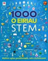 1000 o Eiriau Stem цена и информация | Книги для подростков и молодежи | kaup24.ee