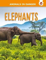 Elephants цена и информация | Книги для подростков и молодежи | kaup24.ee