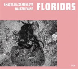 Anastasia Samoylova, Walker Evans: Floridas hind ja info | Fotograafia raamatud | kaup24.ee