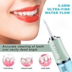 Oral Irrigator PPS цена и информация | Ирригаторы | kaup24.ee