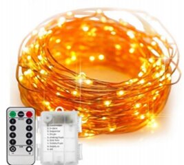 LED vanik 10 m 100LED puldiga hind ja info | Jõulutuled | kaup24.ee