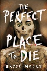 The Perfect Place to Die hind ja info | Noortekirjandus | kaup24.ee