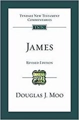 James: Tyndale New Testament Commentary hind ja info | Usukirjandus, religioossed raamatud | kaup24.ee