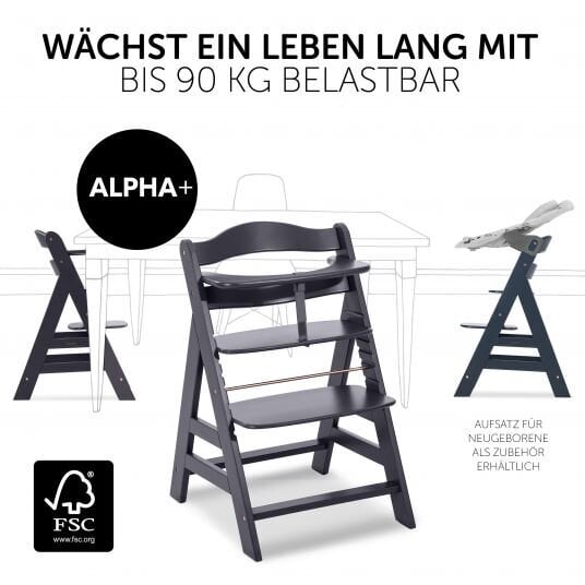 Hauck söötmistool Alpha+, Dark Grey hind ja info | Laste söögitoolid | kaup24.ee