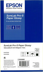 Epson SureLab Pro-S Paper Glossy BP 6x65 2 rolls 	C13S450062BP Glossy - цена и информация | Тетради и бумажные товары | kaup24.ee