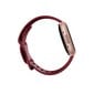 Fitbit Versa 4 Beet Juice/Copper Rose цена и информация | Nutikellad (smartwatch) | kaup24.ee