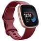 Fitbit Versa 4 Beet Juice/Copper Rose цена и информация | Nutikellad (smartwatch) | kaup24.ee