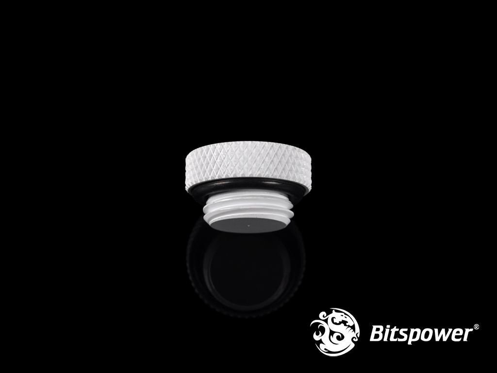 BitsPower Plug 1/4 "- White (BP-DWWP-C06) цена и информация | Vesijahutused - lisaseadmed | kaup24.ee