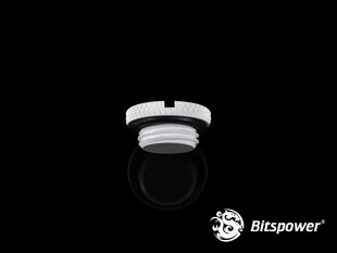 BitsPower Plug 1/4 "- White (BP-DWWP-C09) цена и информация | Водяное охлаждение - аксессуары | kaup24.ee