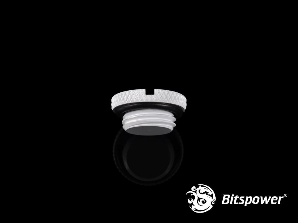 BitsPower Plug 1/4 "- White (BP-DWWP-C09) цена и информация | Vesijahutused - lisaseadmed | kaup24.ee