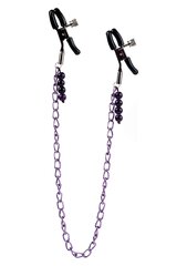 Зажимы для сосков с цепочкой CalExotics Purple Chain Nipple Clamps цена и информация | БДСМ и фетиш | kaup24.ee