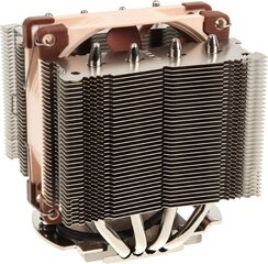 Noctua Premium CPU Cooler with NF-A9 92mm Fan Brown (NH-D9L) hind ja info | Protsessori jahutid | kaup24.ee