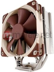 Noctua Premium Процессорный кулер для NF-F12 120мм вентилятора Коричневый (NH-U12S) цена и информация | Кулеры для процессоров | kaup24.ee