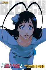 Bleach (3-in-1 Edition), Vol. 22: Includes vols. 64, 65 & 66 цена и информация | Фантастика, фэнтези | kaup24.ee