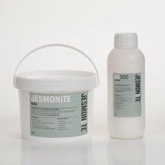 Jesmonite AC300, 2.5kg + 1kg hind ja info | Kunstitarbed, voolimise tarvikud | kaup24.ee