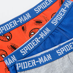 Cool Club aluspüksid poistele Spiderman 3 tk., LUB2510012-00 hind ja info | Poiste aluspesu | kaup24.ee