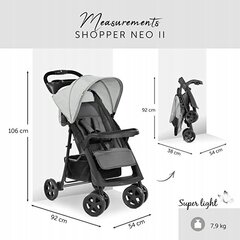 Прогулочная коляска Hauck Neo II Shopper, Серый цена и информация | Коляски | kaup24.ee
