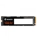 Gigabyte Aorus 5000E (AG450E500G-G) цена и информация | Sisemised kõvakettad (HDD, SSD, Hybrid) | kaup24.ee