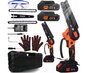 Kett-oksasaag Daolong Cordless 21V hind ja info | Kettsaed, mootorsaed | kaup24.ee