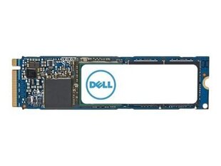 Dell AC037409 цена и информация | Внутренние жёсткие диски (HDD, SSD, Hybrid) | kaup24.ee